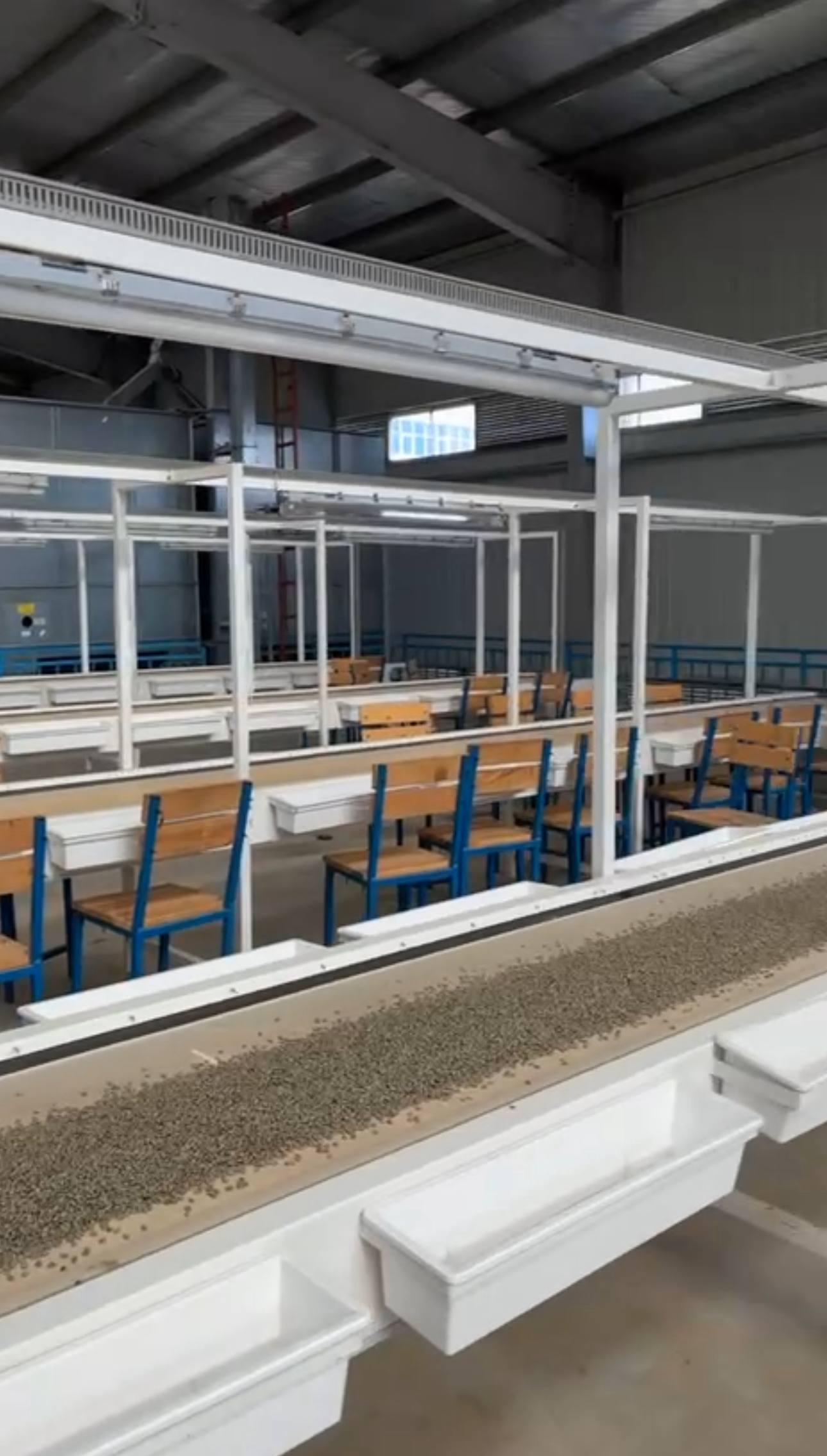 Drying Beds
